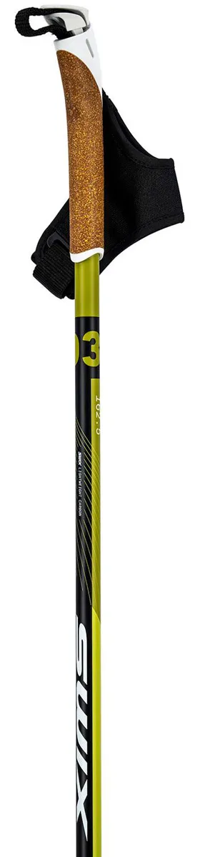 Bastones swix Dynamic D3 Pole