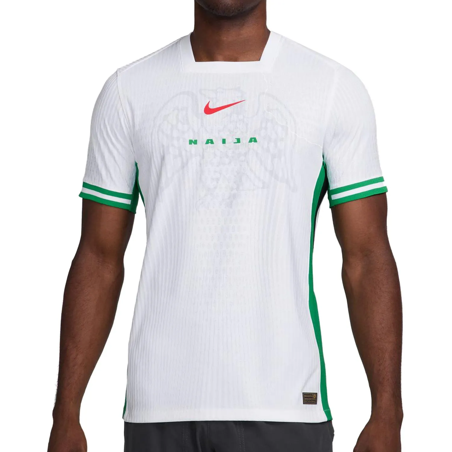 CAMISETA NIKE NIGERIA MATCH 20242025 DRIFIT ADVN