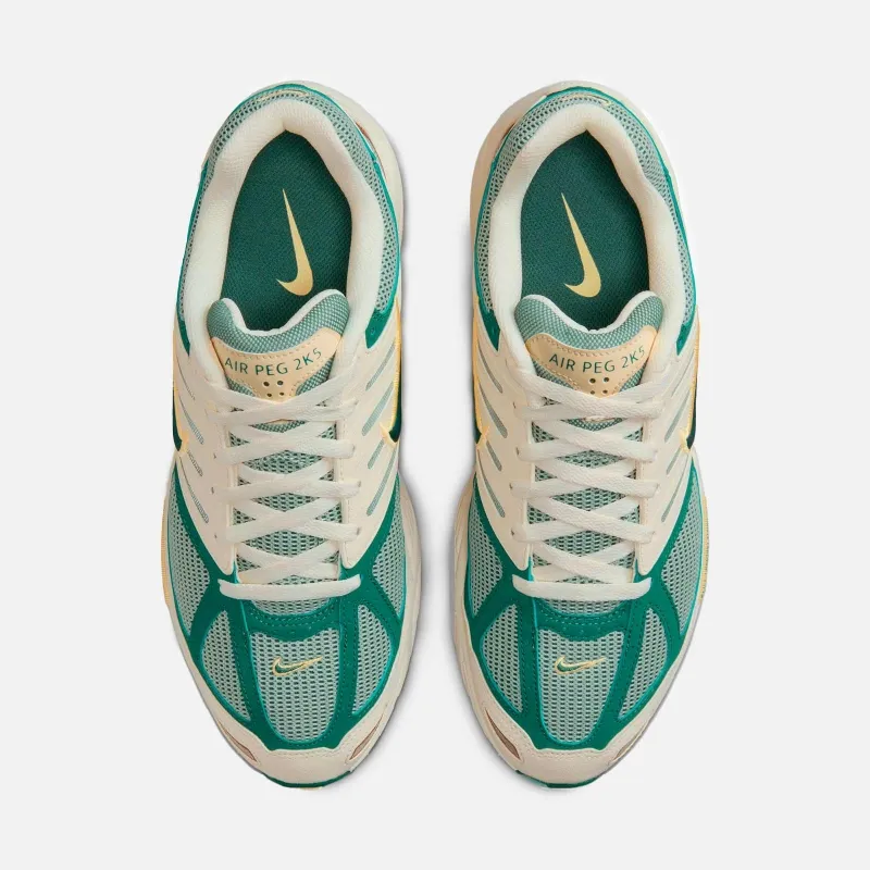 NIKE AIR PEG 2K5 FZ2590100